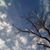 Lisa Heindricks's profile image