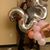 Maria Ivanez Rivera's profile image