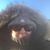 Terri Malinowski Jones's profile image
