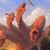 Camden Welch-Mitchel's profile image