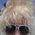 Karen Carbone's profile image