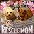 Michelle DeCamp's profile image