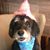 Sue Oliver-Bell's profile image