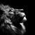 Brandon Beagle's profile image