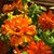 Paula Baker's profile image