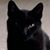Dale Kelley's profile image