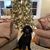 Dee Wegner Johnson's profile image