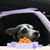 Susan Petraglia Burns's profile image