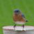 Mary Sibole's profile image