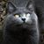 Kelly Spivey's profile image
