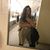 Tina Jones's profile image