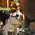 Sam-e Marion's profile image