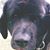 Lori Fulton Akins's profile image