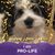 Rhonda Kay Lee's profile image