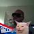 Rico William Mayes's profile image