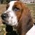 Lee Ann Jimenez's profile image