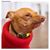 Wyatt Brewster's profile image