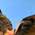 Leonie Admiraal's profile image