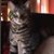 Kathy Kutzer Nagoda's profile image
