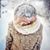 Kazmin Thibault's profile image