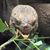 Deborah Phillips's profile image