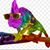 Juliet Miller's profile image
