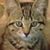 Sabine Smarty-Jones's profile image