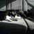 Di Henthorn-Nowak's profile image