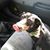 Debra Collins's profile image