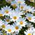 Pam Pastula Donnelly's profile image