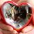 Ed Koska's profile image