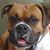 Eric Birman's profile image