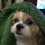 Denise Corbitt Bryan's profile image