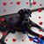 Gideon Dane's profile image