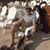 Alejandro Bravo's profile image