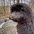 Eilish Reding Palmer's profile image