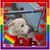 Robert Slack's profile image
