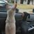 Kathryn Wilcher's profile image