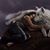Maria Luz Alvarez's profile image