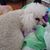 Debbie Hughes Kirk's profile image