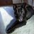 Michael A. Tankersley's profile image