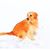 David Parsons's profile image