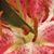 Christine Taylor Cook's profile image