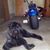 Jerry Walker's profile image