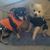Phoenix Podell's profile image
