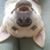 James August Gerber's profile image