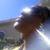 Debye Edwards's profile image