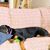 Michelle Filippi-Robb's profile image