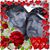 Jim Jimmy Zontek's profile image