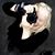 Carol Cotton Blickenstorfer's profile image